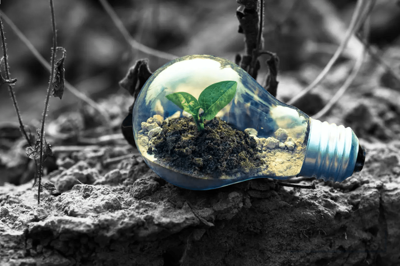 Waste-to-Energy